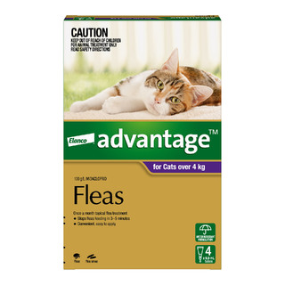 Advantage for Cats Over 4kg (Purple)