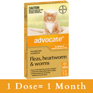 Advocate for Kittens and Small Cats Up to 4kg (Orange) - Fleas, Heartworm & Worms - 12 Pack