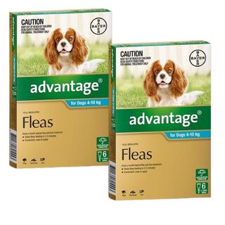 Advantage for Dogs 4-10kg (Aqua) - 12 Pack