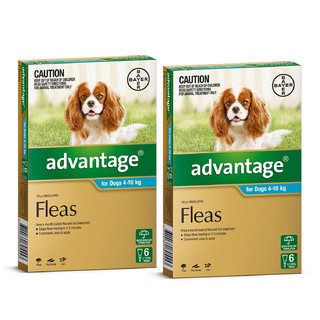 Advantage for Dogs 4-10kg (Aqua) - 12 Pack