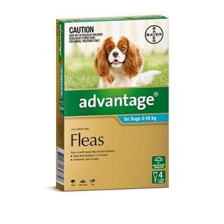 Advantage for Dogs 4-10kg (Aqua)