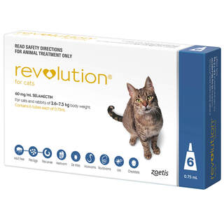 Revolution for Cats 2.6-7.5kg - Blue - 12 Pack 
