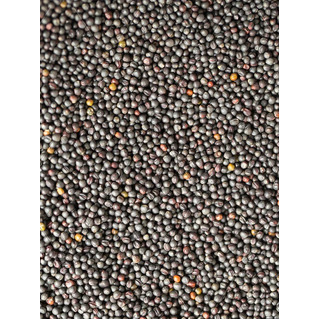 Avigrain Canola 20kg (out of stock)