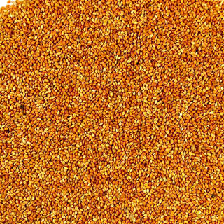 Avigrain Red Panicum 20kg (out of stock)
