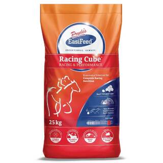 Prydes Racing Cube - Racing & Performance 25kg
