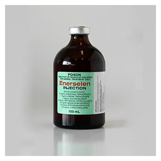 Ausrichter Enerselen Injection 100mls