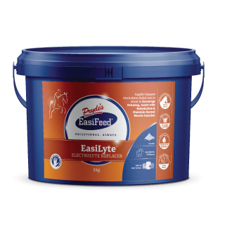 Prydes EasiLyte 5kgs (out of stock)