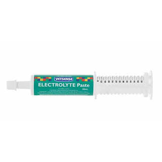Vetsense- Labs Electrolyte Paste 60ml (out of stock)