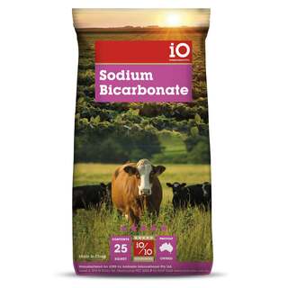 iO Sodium Bicarbonate 5kgs