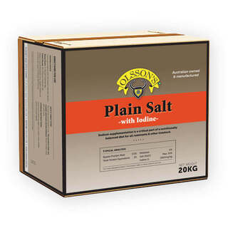 Olsson Plain Iodised Salt Block 20kg