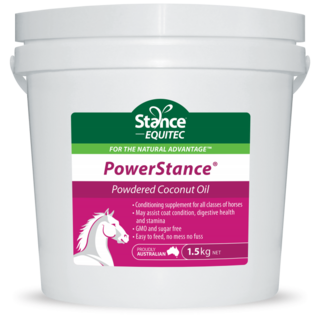 Stance Equitec Powerstance 1.5kg