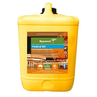 Apparent Festival 100 10L (Gibber)