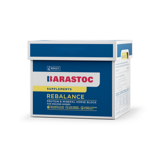 Barastoc Rebalance Horse Block 20kg