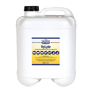Vetsense VyLyte - Electrolyte for Horses, Cattle & Pets - 20L