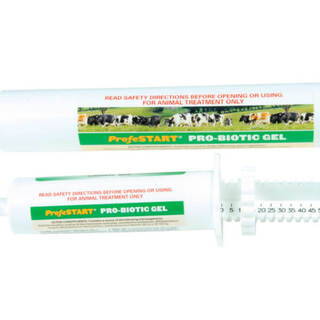 Provico Probiotic Gel 300ml