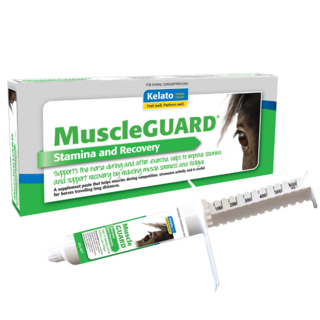 Kelato Muscleguard 32g
