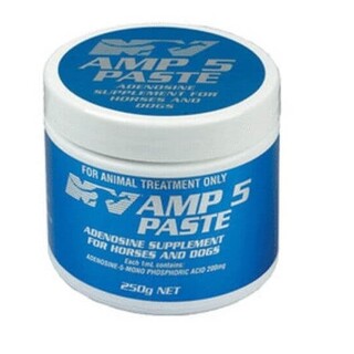 NV AMP-5 Paste 250gm