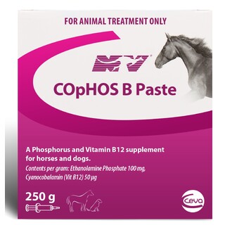 NV Cophos B Paste 250gm