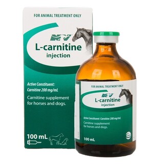 NV L-Carnitine Injection 100ml