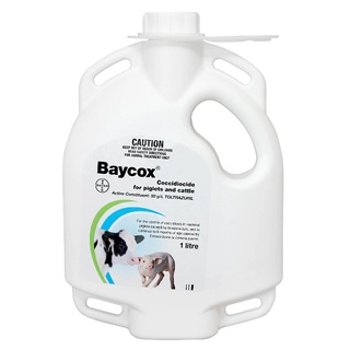 Bayer Baycox Coccidiocide Piglet & Cattle 1ltr