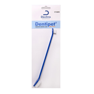 Dual Ended Toothbrush