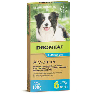 Drontal Allwormer Tablets for Dogs 10kg [Size:100 Tablets]