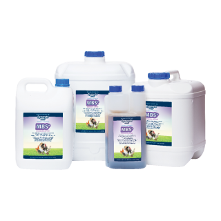 Dynavyte Equine Microbiome Support