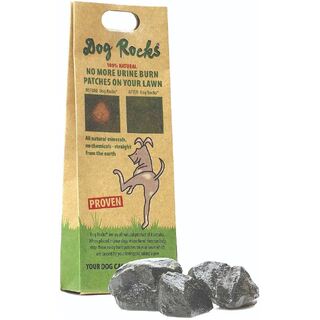 Dog Rocks - Prevent Dog urine stains on lawn