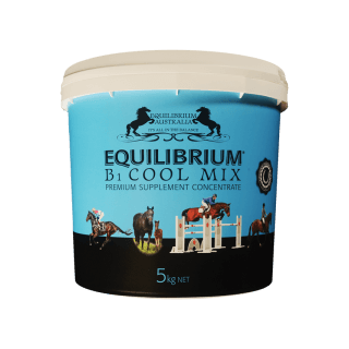 Equilibrium B1 Cool Mix Blue