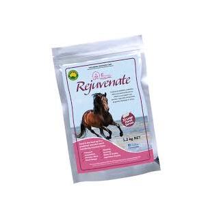 Equine Vit & Min- Rejuvenate
