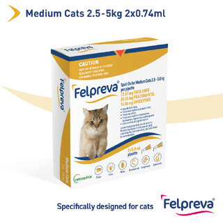 Felpreva Spot-On for Medium Cats 2.5kg to 5kg (Yellow Box)