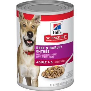 Hill's Science Diet Dog - Adult 1-6 Beef & Barley Entrée - Wet Food 370gm x 12 Cans