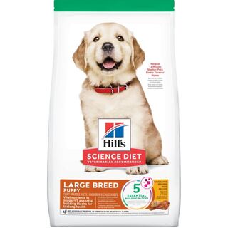 Hill's Science Diet Dog - Puppy Large Breed Chicken & Brown Rice Recipe - Dry Food 12kg