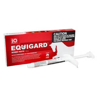 iO Equigard Horse Paste (Syringe) - 20 PACK