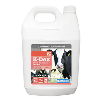 iO K-Dex Energy Supplement 20ltrs