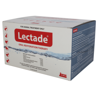 Lectade Oral Sachets - 12 Pack