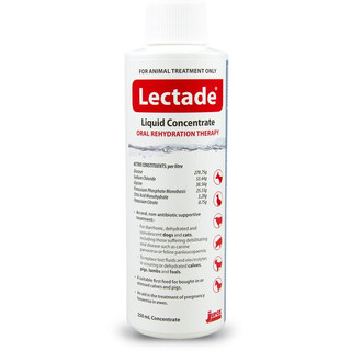Lectade Liquid Concentrate - 250ml (out of stock)