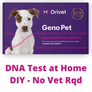 Orivet DNA Identification BREED TEST - Dog Breed DNA Genetic Test Kit + Life Plan