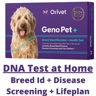 Orivet GENOPET 5.0 - Complete DNA Testing for Dog Breed + Health Screen + Life Plan