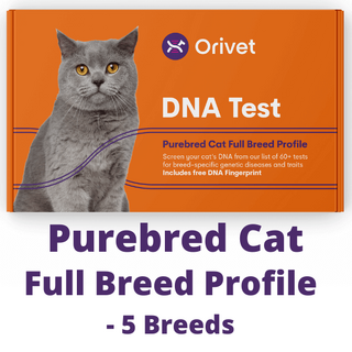Orivet - PUREBRED Cat Full Breed Profile DNA test