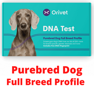 ORIVET Kit de test ADN pour chien – Profil complet de race Golden Retriever  | Test de chiot contre 250 risques et traits médicaux | Empreinte