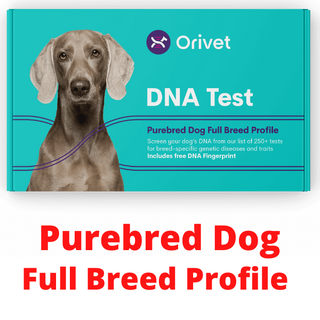 Orivet - PUREBRED Dog Full Breed Profile DNA test kit
