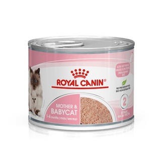 Royal Canin Cat Mother & Baby Cat - wet food - 195gm x 12 Cans