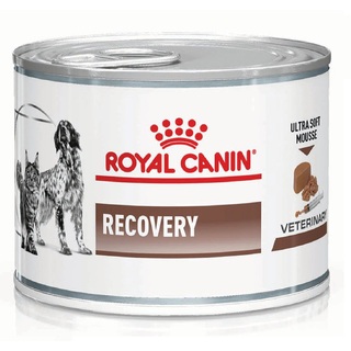 Royal Canin Vet Dog & Cat Recovery 195gm x 12 Cans