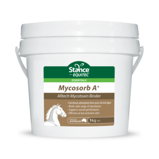 Stance Essentials Mycosorb A+