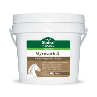 Stance Essentials Mycosorb A+ 2kg