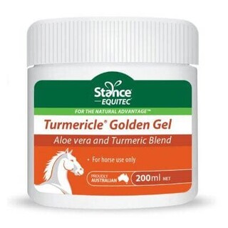 Stance Equitec Turmericle Golden Gel 200ml