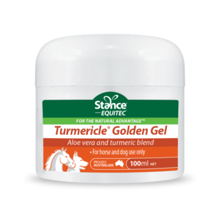 Stance Equitec Turmericle Golden Gel