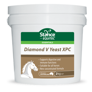 Stance Essentials Diamond V Yeast XPC