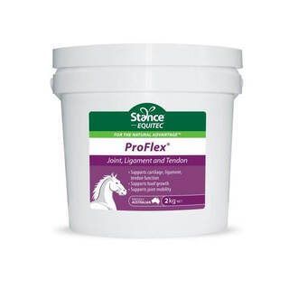 Stance Equitec Pro-Flex